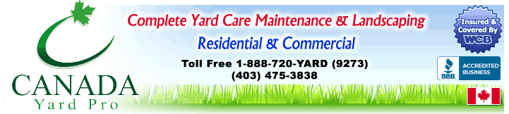 Calgary Lawn Manintenance Services